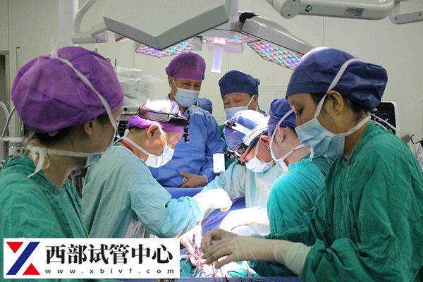 胚胎移植階段費(fèi)用大概在1萬左右