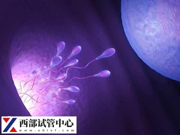 貴州有兩家公立醫(yī)院開(kāi)展了三代試管嬰兒技術(shù)