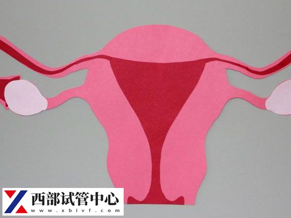 當FSH數(shù)值高于10通常表明卵巢儲備功能下降