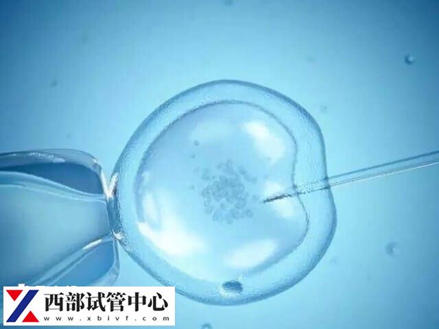 試管移植是現(xiàn)代醫(yī)學(xué)技術(shù)的一項(xiàng)重要成果